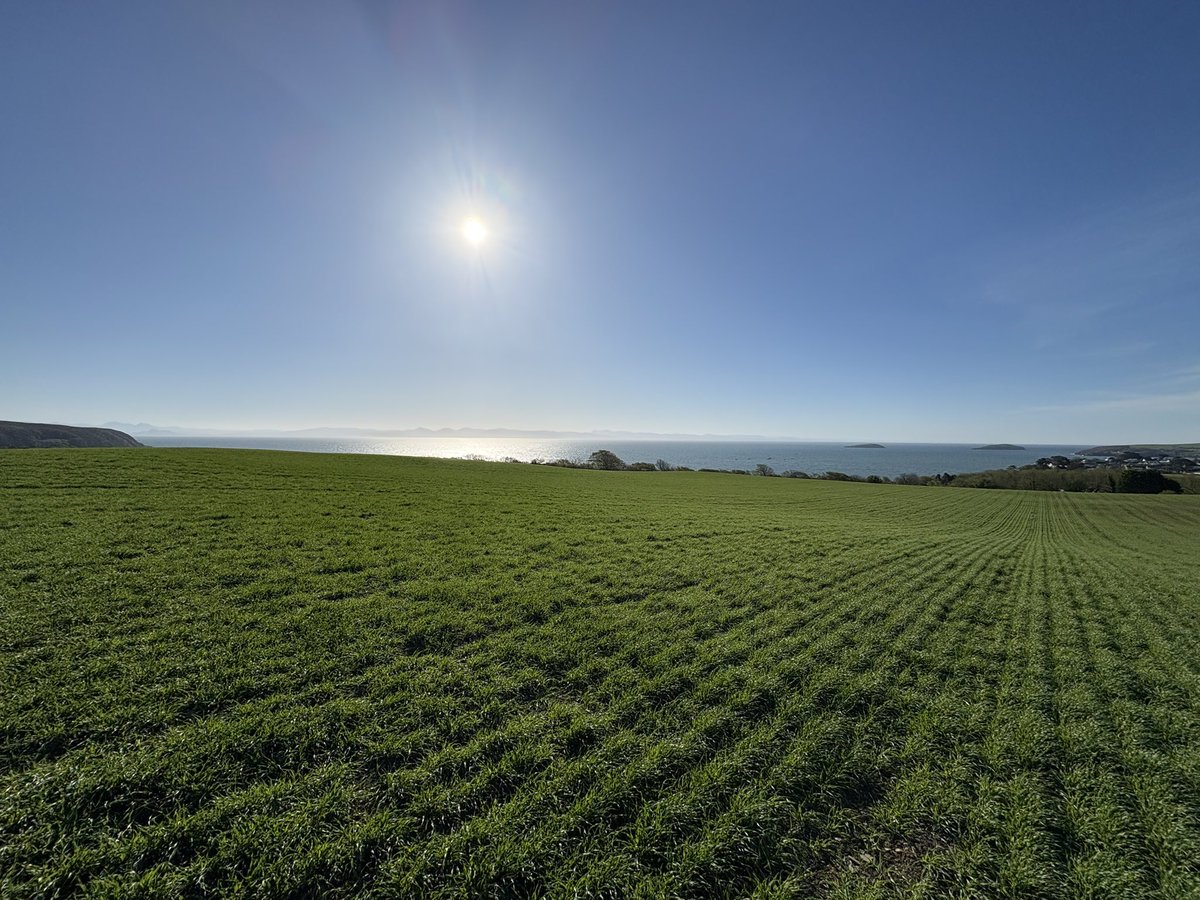 Agronomysilvers's tweet image. Some views today in the stunning Llŷn Peninsula and crops are looking well and the weather was spectacular spring barely , winter barley , potatoes 🥔 and maize going in this weekend too  grand job as one would say @AgriiUK #stunningnorthwales #wales🏴󠁧󠁢󠁷󠁬󠁳󠁿 #cropwalking