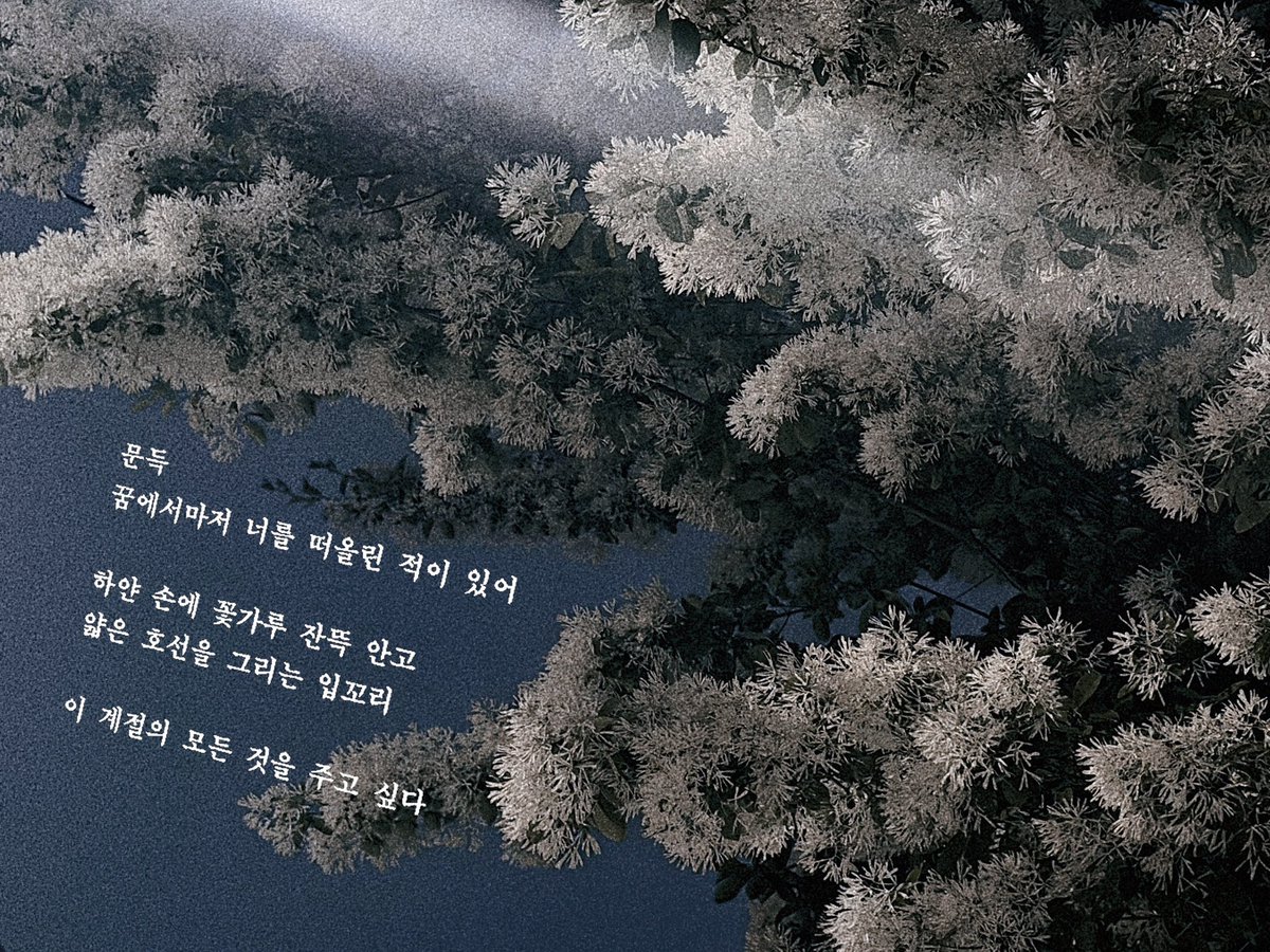 5월의 햇살이 아무리 눈부시고 포근하다고 한들 당신보다 더할 순 없다. 당신은 웃음 한 번에 꽃망울을 터트리고 내 이름으로 푸른 잎을 틔워 우리만의 봄을 무르익게 해. 그럼 나는, 그 깊은 봄 속에서 꽃잎보다 보드라운 당신의 살결을 어루만지며 속삭이지.

나의 모든 걸 안겨줄게, 나의 사랑아.