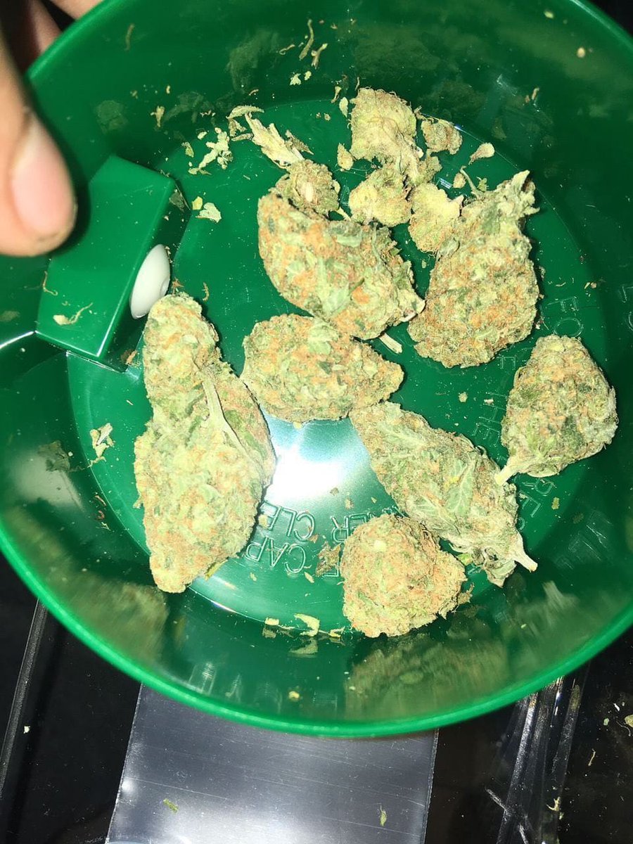 BLivraison97763's tweet image. 🌿 livraison rapide et discret dans tout les coins DM moi pour commander 🇨🇵
Pour la Team France💯

 ☎️Whatsapp: +33746371489
 ☎️Telegram:T.ME/mr_stupes

WEED BEUH En Livraison sur commande

#PARIS
#LYON 
#MARSEILLE #poupettekenza
NANTES 
LORIENT 
BORDEAUX 
TOULOUSE