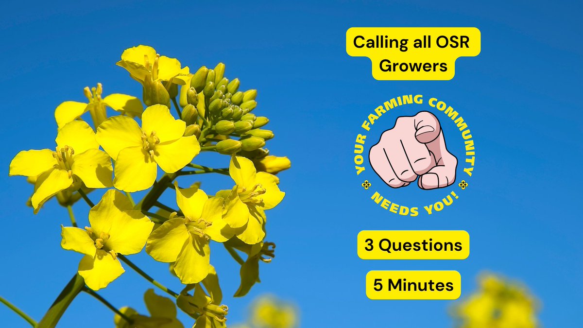 United Oilseeds tweet media