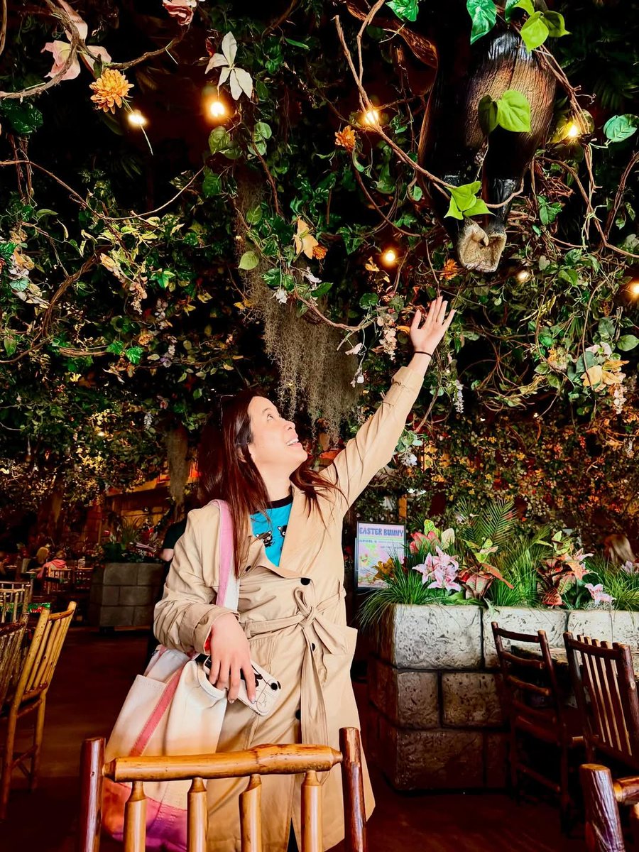 Rainforest Cafe tweet media