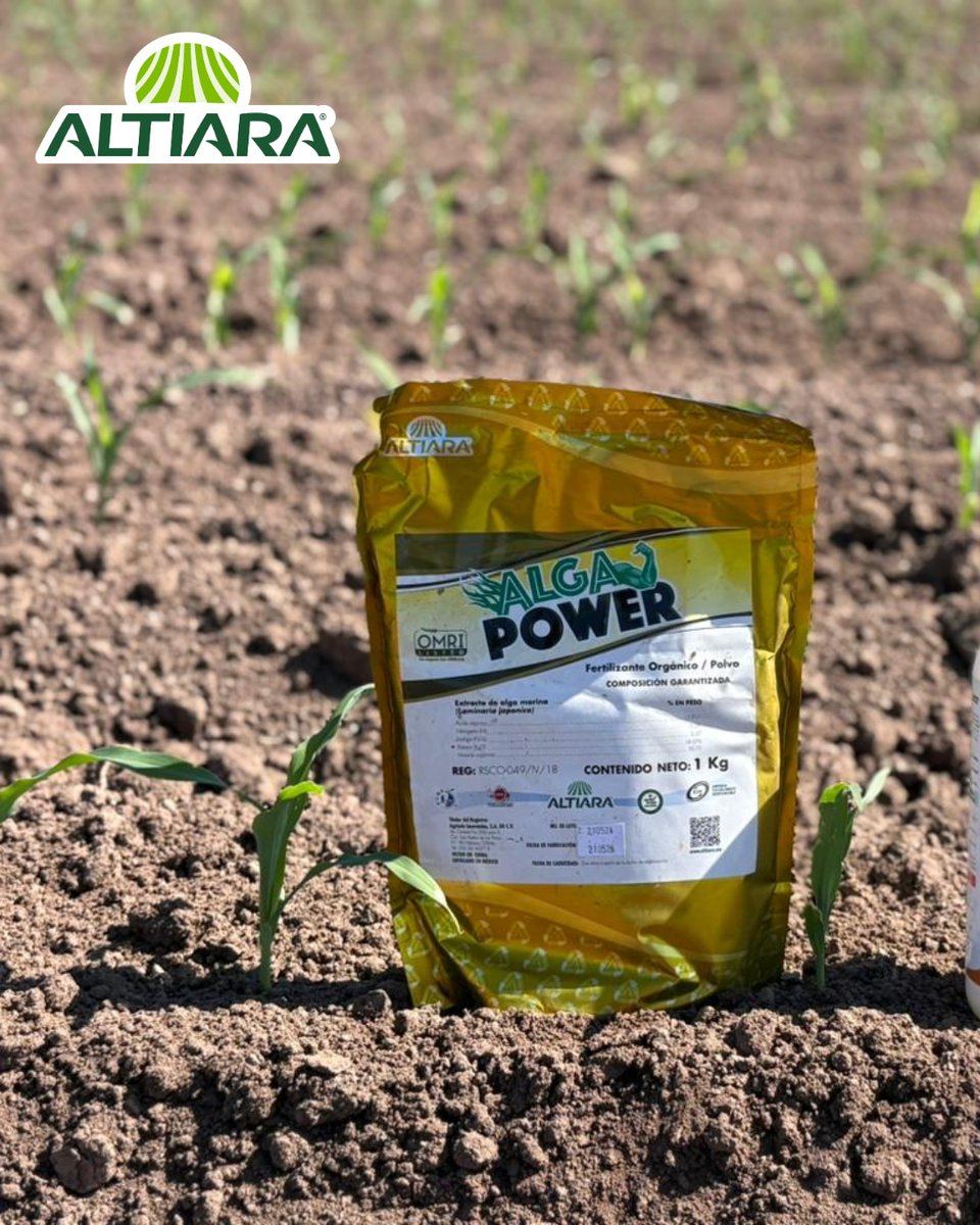 ALTIARA tweet media