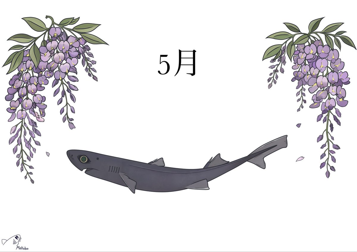 shark0037's tweet photo. 5月
藤×フジクジラ

#フジクジラ
#藤
#めかぶ絵 https://t.co/p2i4QkAblX