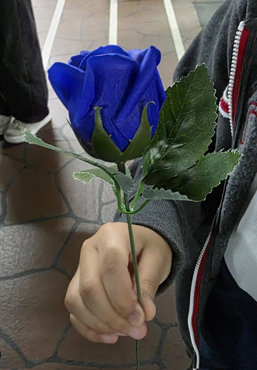 오늘 뿌도콘에서 승관이 장미 받은거 중복으로 당첨된 내 표로 간 내 친구의 아들인데 누가 영상 찍은거 없을까....하 그자리가 내자린데 하고 부럽기도 하지만 초딩아들이 좋아하니 어쩔수가 없네...