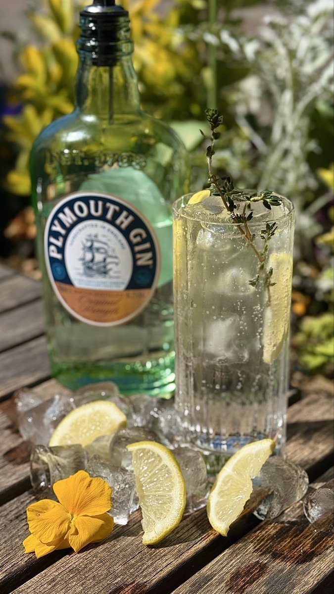 coachhotelkew's tweet image. POV: Life with our signature Hugo G&amp;amp;T 🍋

We’ve teamed up with the Ocean Conservation Trust (OCT) to bring you our signature Hugo G&amp;amp;T. Every 50p goes towards the conservation. Begins from the 4th of May. 

Life is better with a G&amp;amp;T in hand ✨

#oceanconservationtrust #ginandtonic