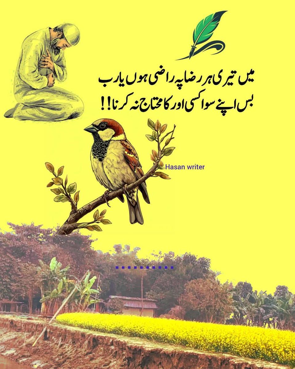 akber mughal tweet media
