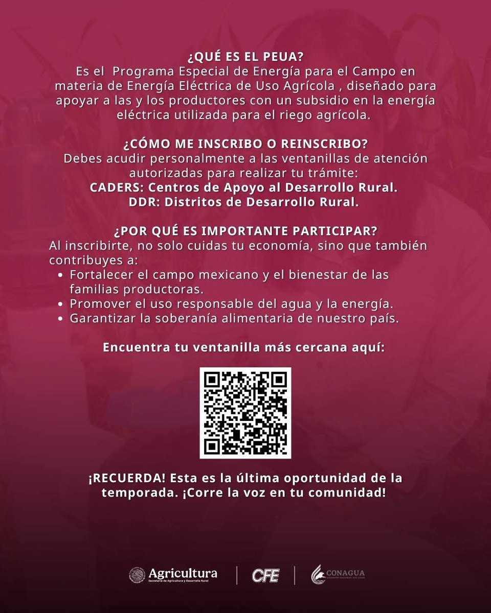 agricultura_dgo's tweet photo. Amigo Productor en Durango, se amplía al 29 de mayo de 2026,  el plazo para reinscribirse al Programa Especial de Energía para el Campo (PEUA).

Acude cuanto antes a tu CADER o DDR más cercano.

https://t.co/eQTOi4Vrrk

@Claudiashein @JulioBerdegue @RaulSalgadoSV @ismaelayala7 https://t.co/r8eKBcUdrz