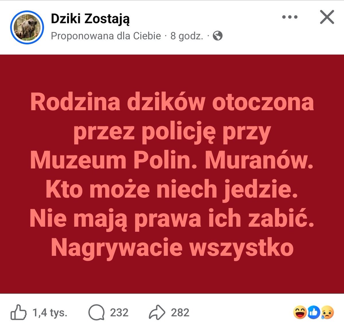 Krengiel🇵🇱 tweet media
