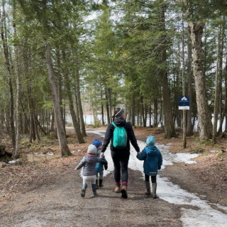 Sentier Transcanadien 🇨🇦 tweet media
