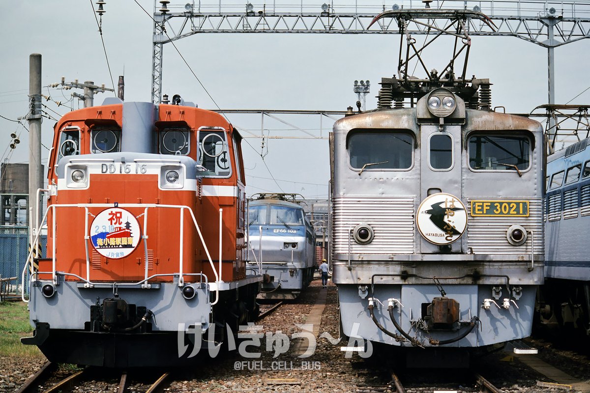 FUEL_CELL_BUS's tweet photo. 一昨日ポストした、1990年8月18・19日のJR貨物 吹田機関区撮影会　機関車並び。

最近の撮影会は寄りの構図が目立つ気がしますが、この頃は5台ほどの並びは焦点距離50mm以上確保され、仰角にならずにすみました。

ED77 2・ED78 901・ED30 21・EF67 101が目玉でしたが、私はEF81 501が本命でした。 https://t.co/MbYuwXZ5PO