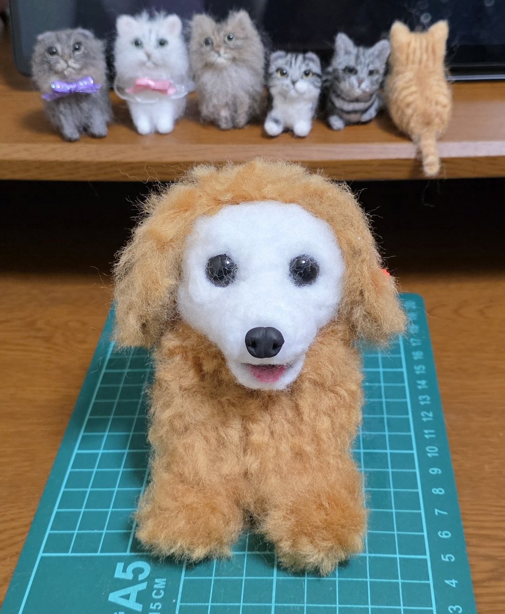 ふぅさんฅ🐾羊毛フェルト tweet media