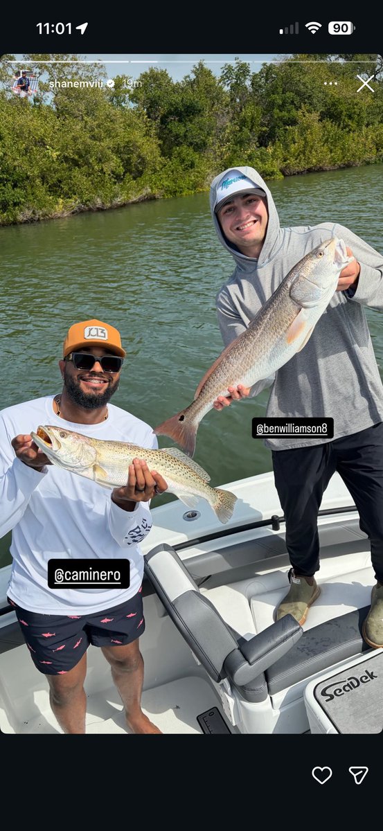 Tampa Bay Tay tweet media