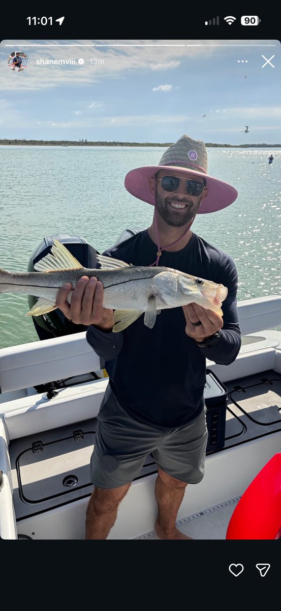 Tampa Bay Tay tweet media