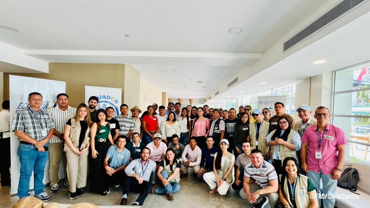 FAOEcuador's tweet photo. #EmpleoAgroJOVEN | 57 jóvenes de Manabí y Napo participaron en talleres territoriales enfocados en finanzas rurales, gobernanza, rutas seguras y CLPI, como componentes clave para la implementación de modelos de negocio sostenibles en la cadena de valor del cacao agroforestal. https://t.co/hdruJzK6lr