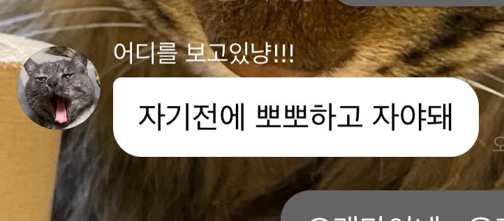 리퐁🪽 tweet media