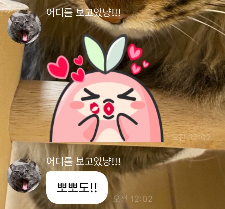 리퐁🪽 tweet media