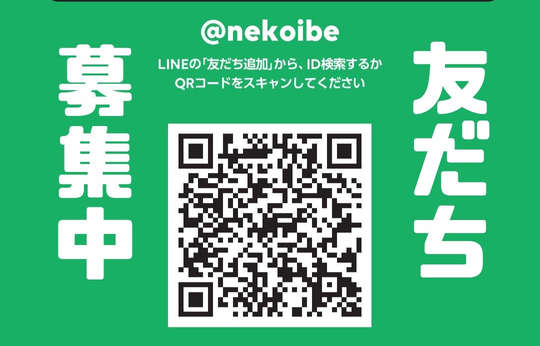 バベルの黒猫 tweet media