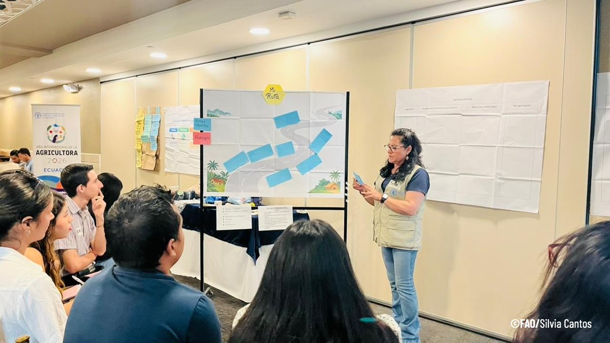 FAOEcuador's tweet photo. @AgriculturaEc @IEPS_Ec @AgrocalidadEC @ZarateB_Erika #EmpleoAgroJOVEN forma parte del Programa #AgroJovenEC impulsado por la FAO en el país. Es liderado por el MAGP y la FAO brinda la asistencia técnica gracias al financiamiento de @Sida. En el taller participaron también @IEPS_Ec y @AgrocalidadEC. https://t.co/tf6EtB5icD
