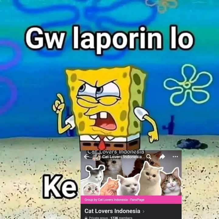 BAYUUUUU tweet media