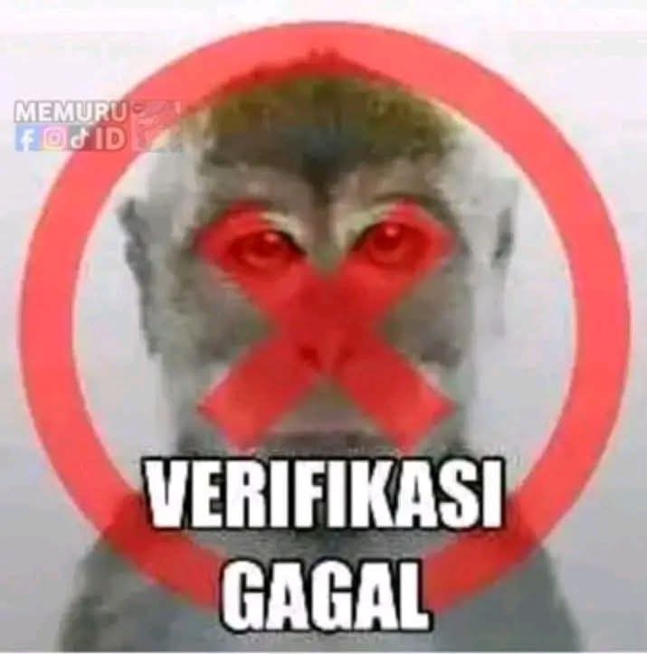 BAYUUUUU tweet media