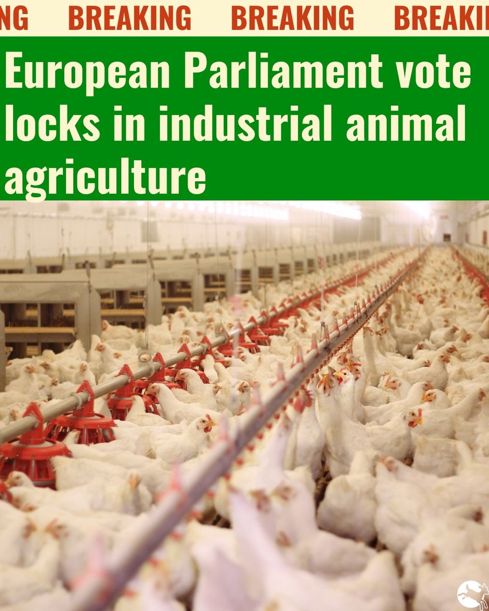 Compassion in World Farming EU tweet media