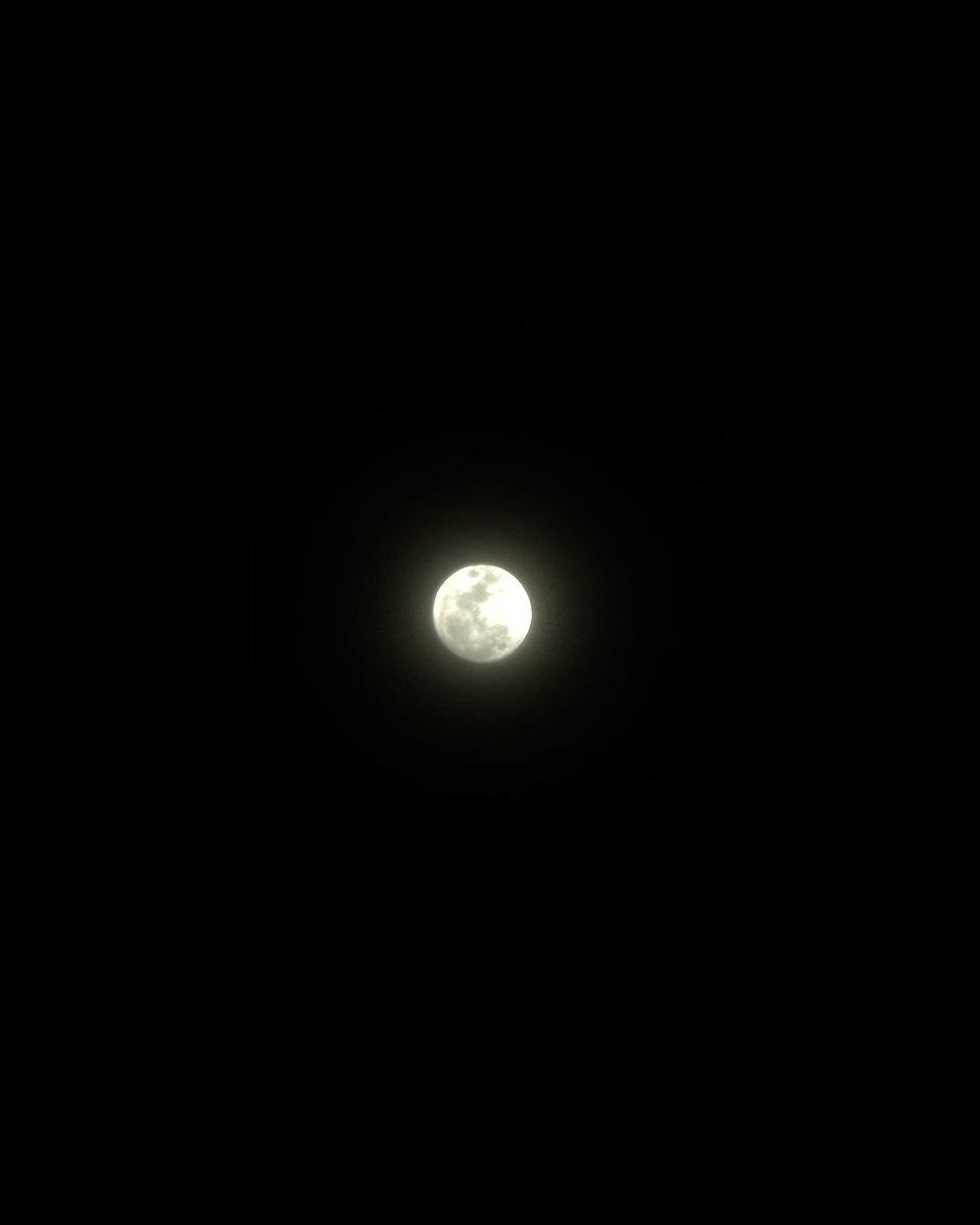 🌕 คืนพรุ่งนี้ (1 พฤษภาคม) มีจันทร์เต็มดวง มองเห็นได้ตลอดคืนครับ

ส่วนคืนนี้ มองเห็นสว่าง 98.9% แล้ว แม้จะมีเมฆจาง ๆ แต่ก็ยังพอถ่ายได้บ้าง

#KornKT #อวกาศน่ารู้