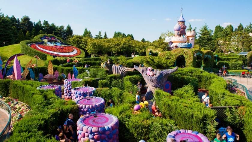 DLP Report tweet media