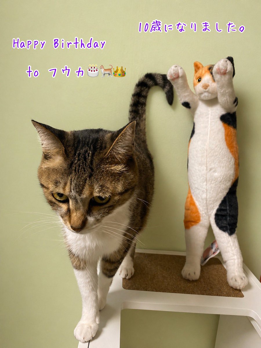 フウカ tweet media