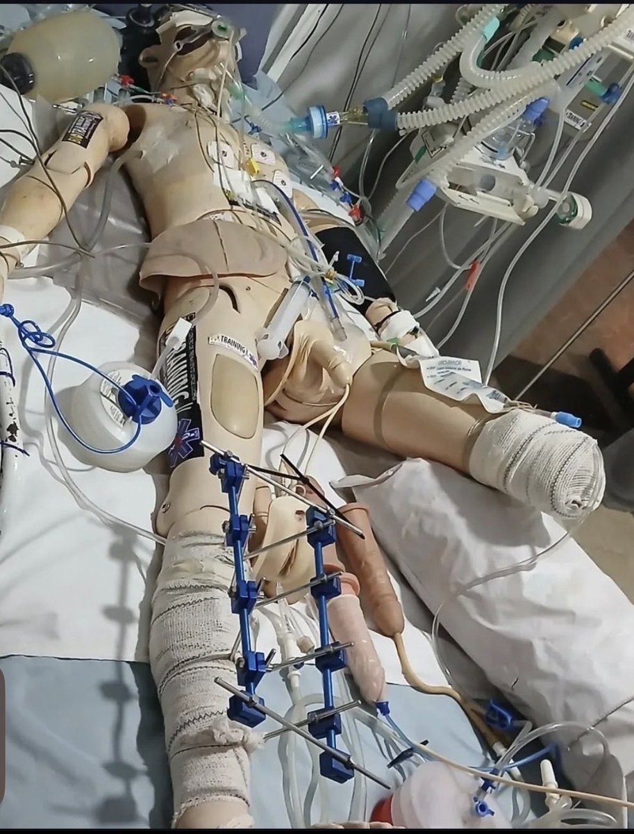 👑 afshin ULTRA MAGA👑 tweet media