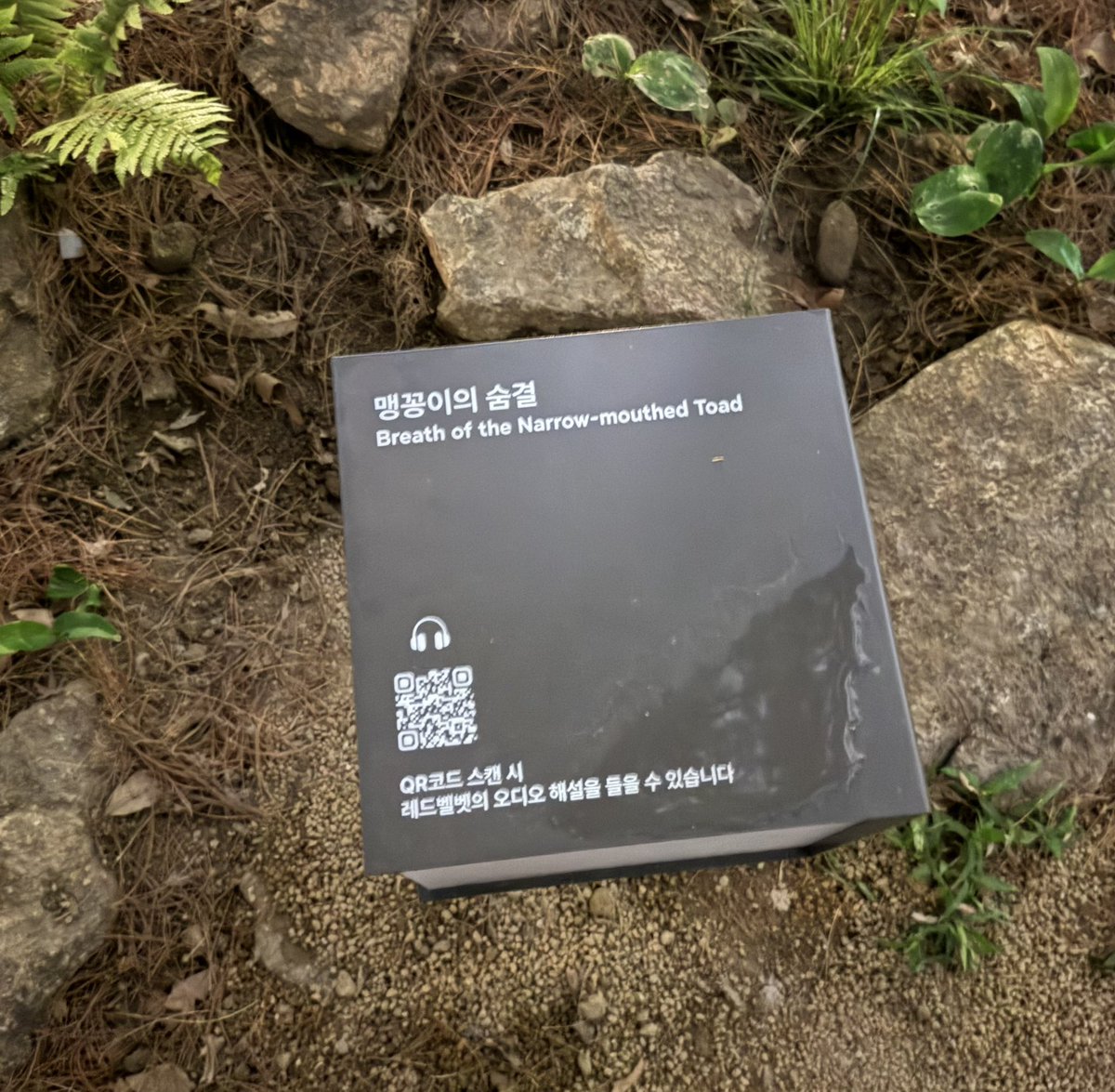 야익 tweet media