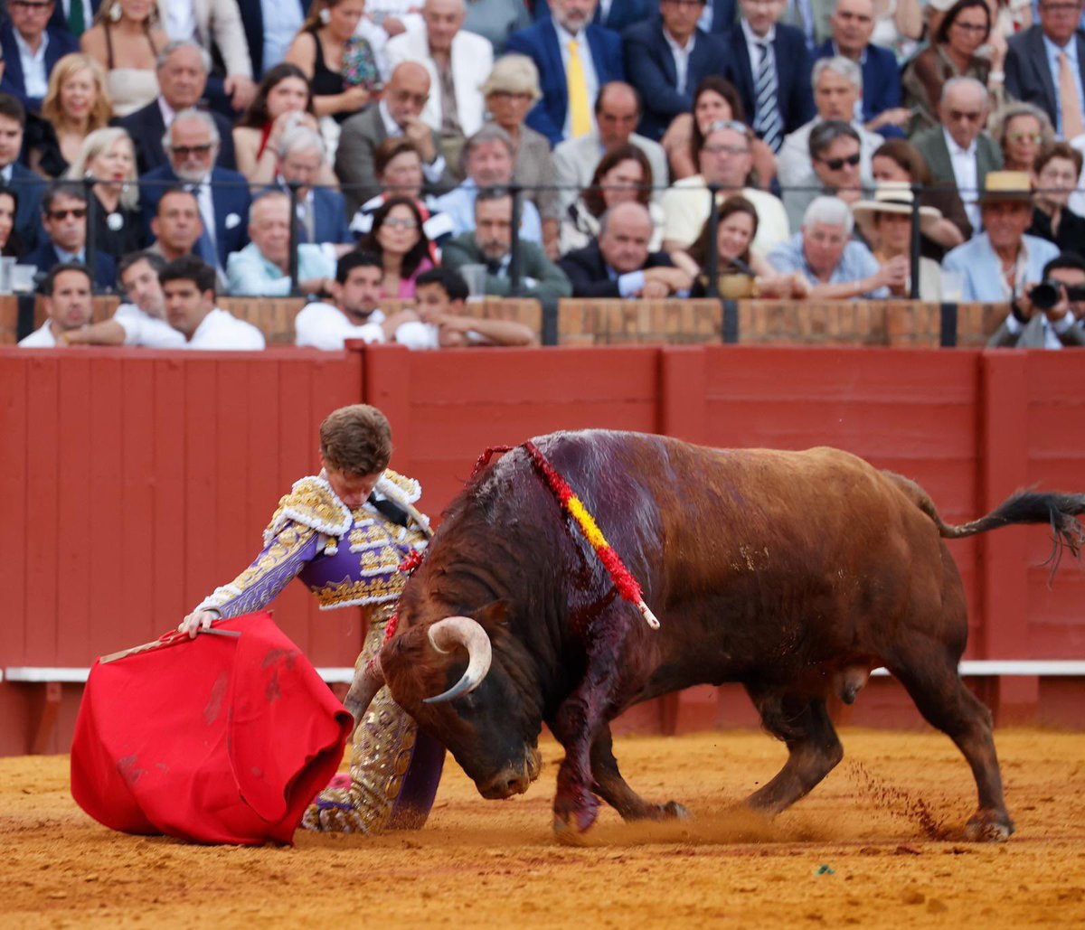 Tercio de Quites tweet media
