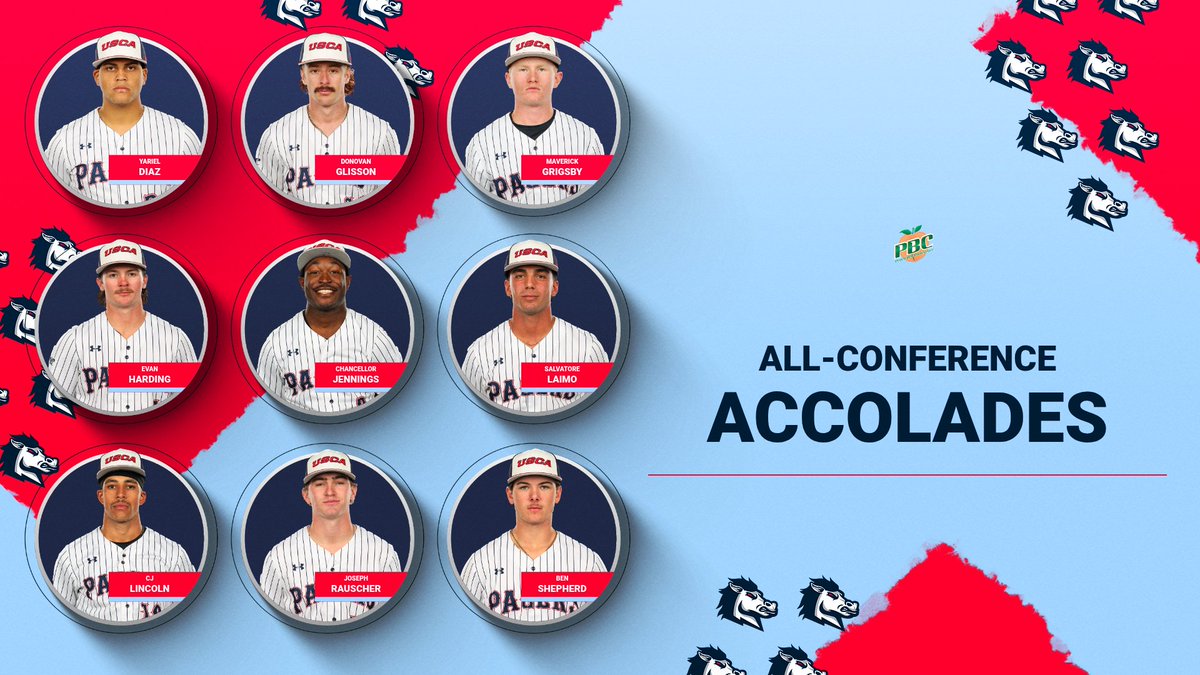 USC Aiken Athletics tweet media