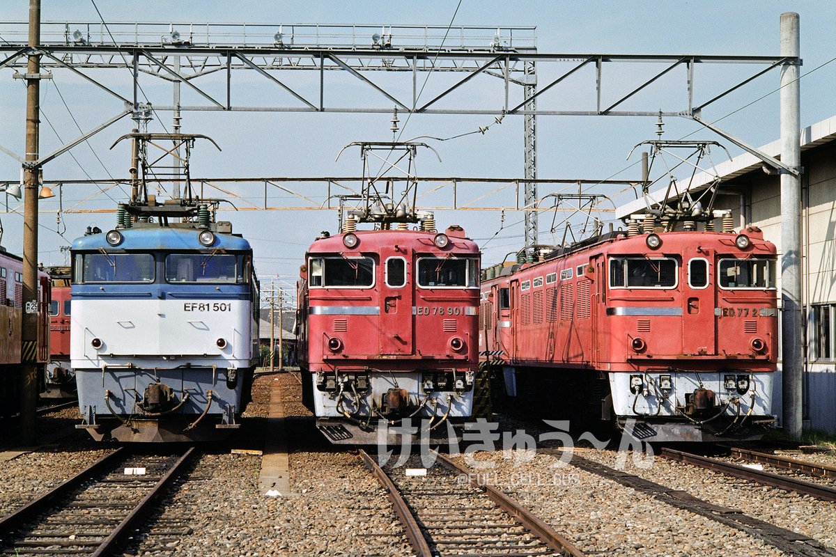 FUEL_CELL_BUS's tweet photo. 一昨日ポストした、1990年8月18・19日のJR貨物 吹田機関区撮影会　機関車並び。

最近の撮影会は寄りの構図が目立つ気がしますが、この頃は5台ほどの並びは焦点距離50mm以上確保され、仰角にならずにすみました。

ED77 2・ED78 901・ED30 21・EF67 101が目玉でしたが、私はEF81 501が本命でした。 https://t.co/MbYuwXZ5PO