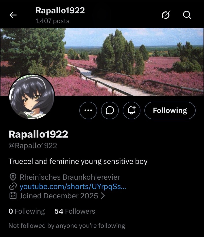 PunishedRapallo tweet media