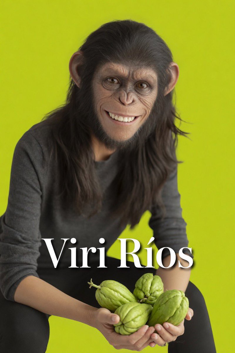 Rey Fifí tweet media