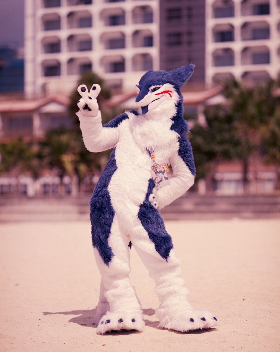 ぴーす✌️

📸🙏<a href="/SILDRAS8/">シルドラ(元ししまい)</a> 
#FursuitFriday