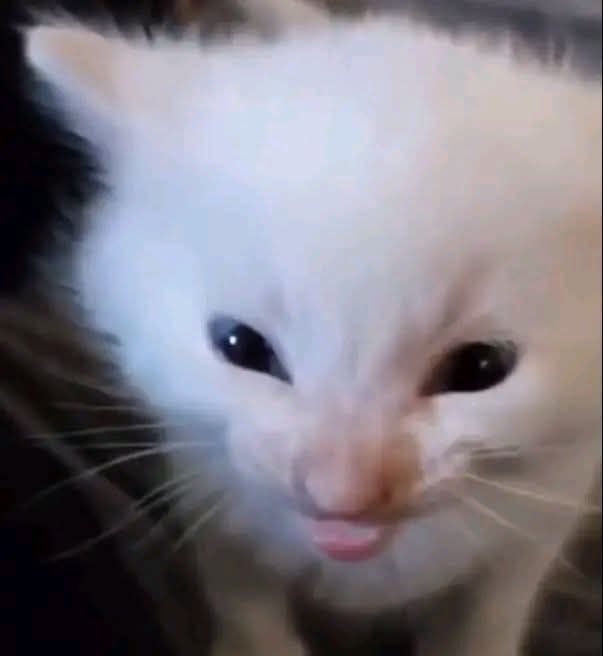 DanDoubleD tweet media