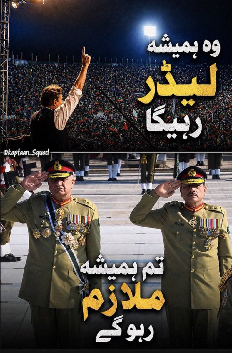 Sara Mir tweet media