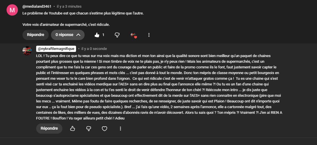 Nykraft Le Magnifique ! tweet media