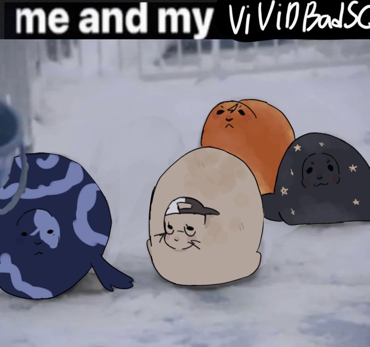vivid seal squad ᣟ݂ᣟ𓏼՞ tweet media