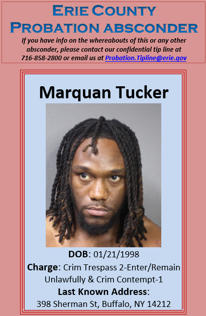 EC Probation tweet media