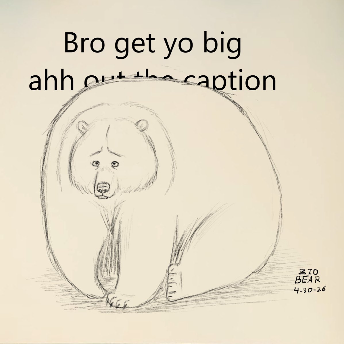 Zio the Bear tweet media