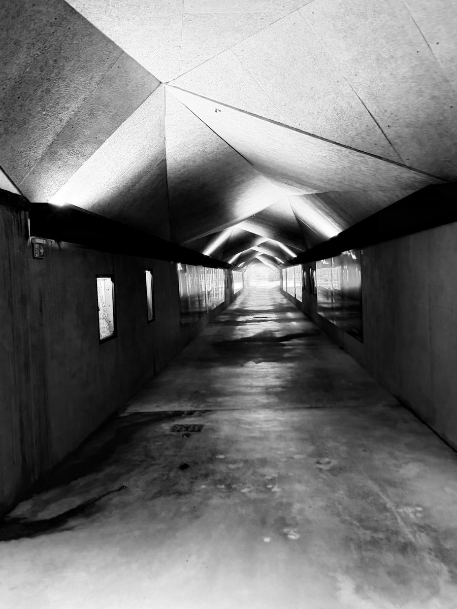 Alonein43672278's tweet image. #potograpny #blackandwhite #memories #childhood #eighties #tale 

That morning after swimming lesson I was walking with my mom in an underpass near the bus stop. I could hear the sound of my T-bar shoes as I walked on the black rubber grating and the metal grating. It was the end