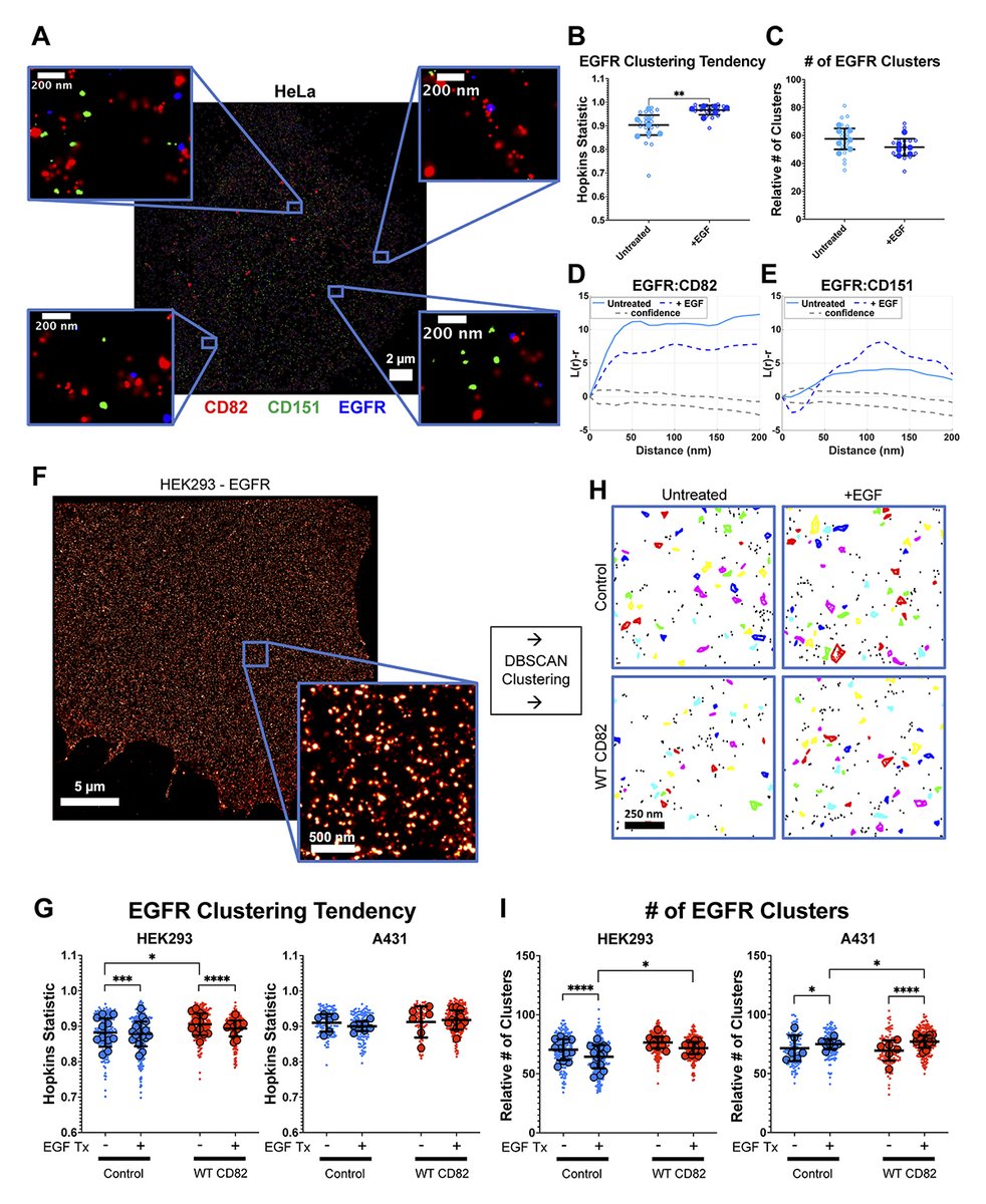Journal of Cell Biology tweet media
