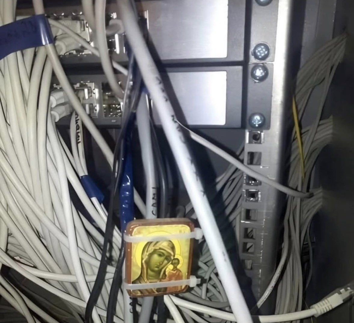 Predator tweet media