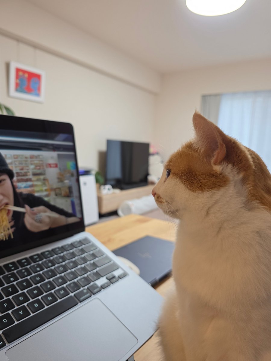 toforward's tweet photo. watching youtube with my daughter https://t.co/MA9ykj8HXa