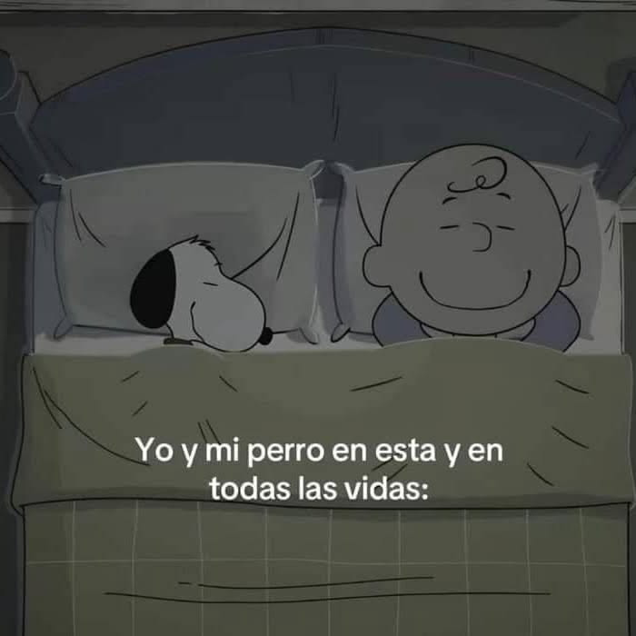 Maxi (@rey_latino33087) on Twitter photo 