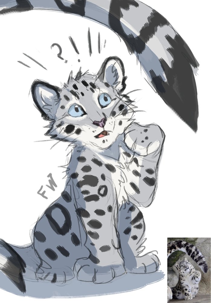 Flash W (open for commissions) tweet media