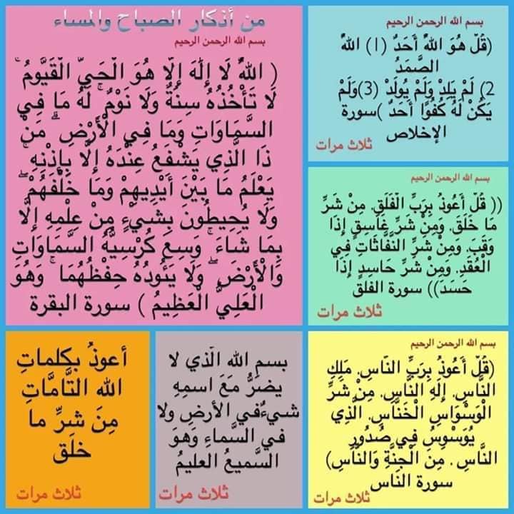 dbsaeed@gmail.com tweet media