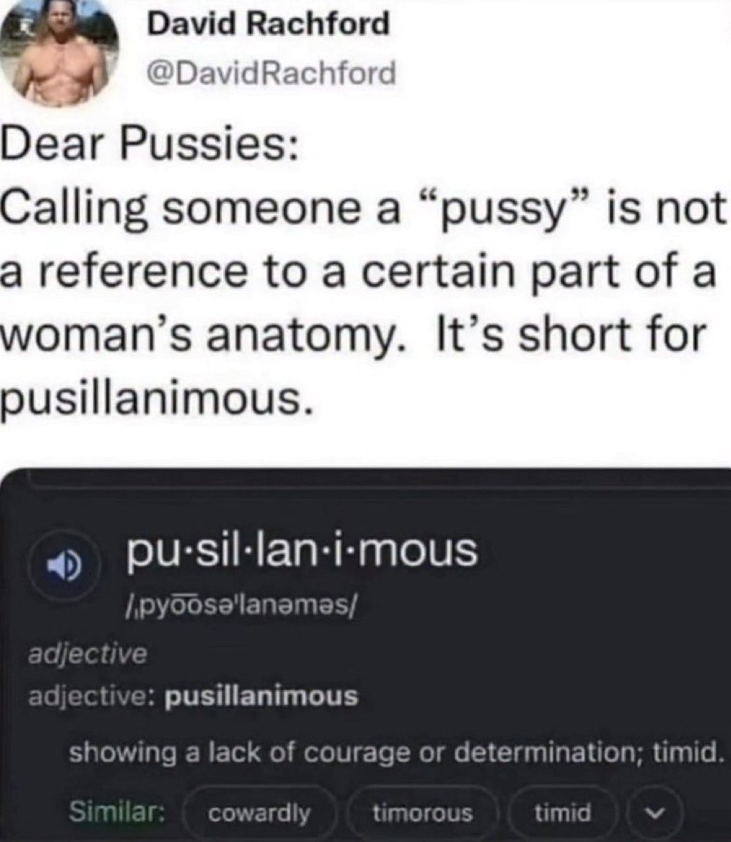 BobNoose tweet media